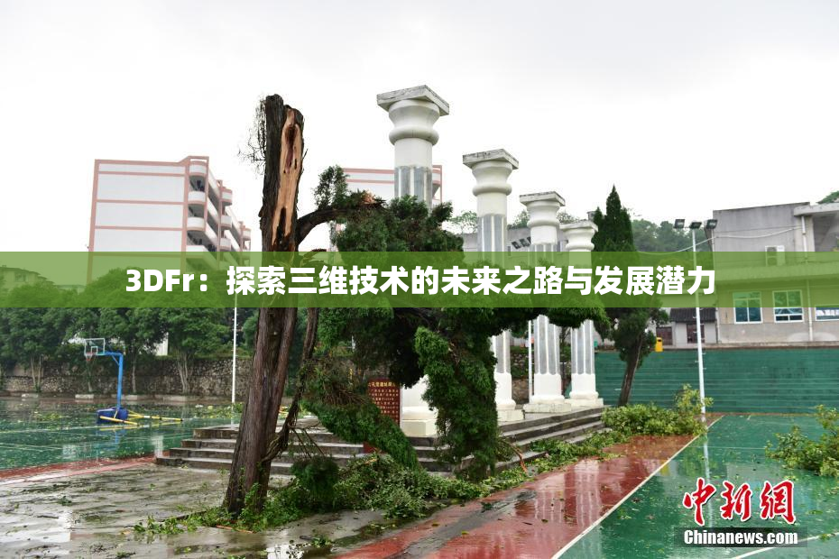 3DFr：探索三维技术的未来之路与发展潜力