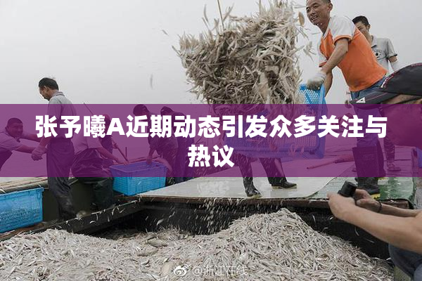 张予曦A近期动态引发众多关注与热议