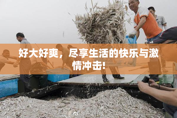 好大好爽，尽享生活的快乐与激情冲击!