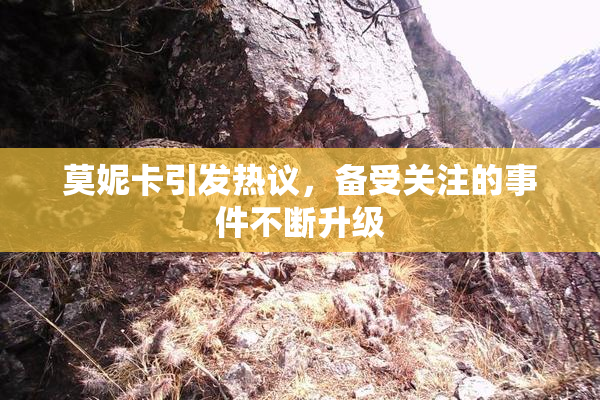 莫妮卡引发热议，备受关注的事件不断升级