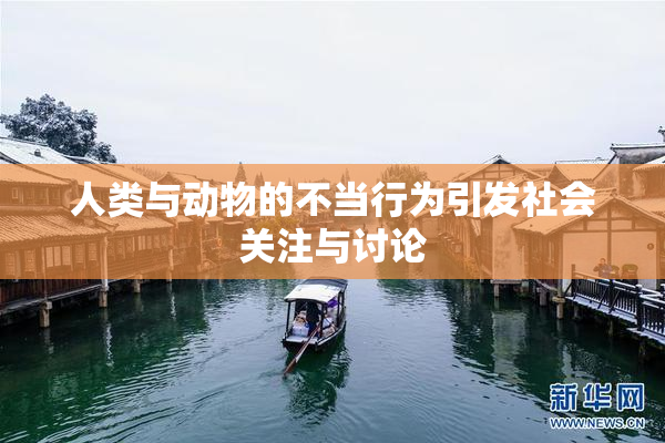 人类与动物的不当行为引发社会关注与讨论