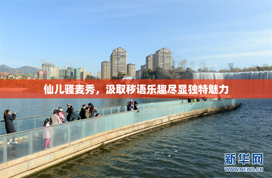仙儿骚麦秀，汲取秽语乐趣尽显独特魅力