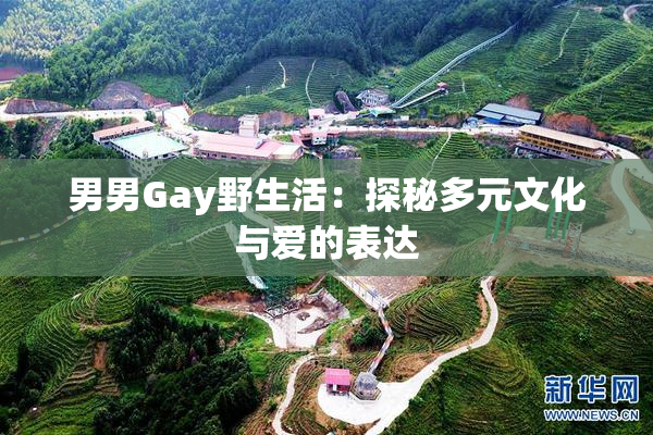 男男Gay野生活：探秘多元文化与爱的表达