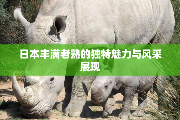 日本丰满老熟的独特魅力与风采展现
