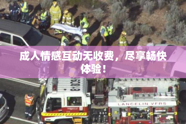 成人情感互动无收费，尽享畅快体验！