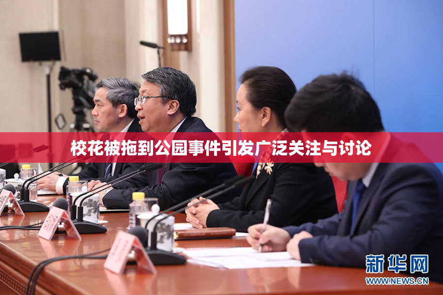 校花被拖到公园事件引发广泛关注与讨论