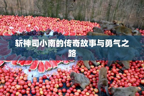 斩神司小南的传奇故事与勇气之路