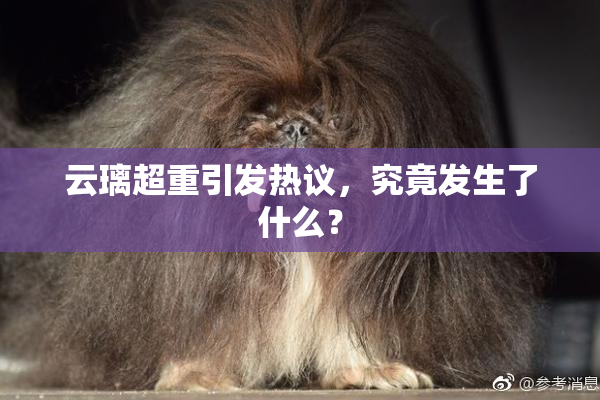 云璃超重引发热议，究竟发生了什么？