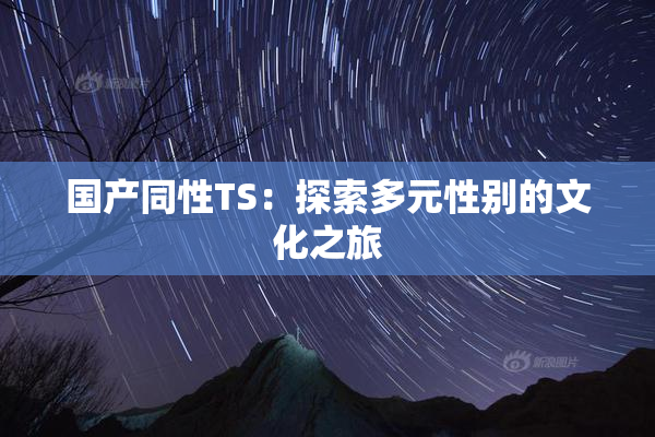 国产同性TS：探索多元性别的文化之旅