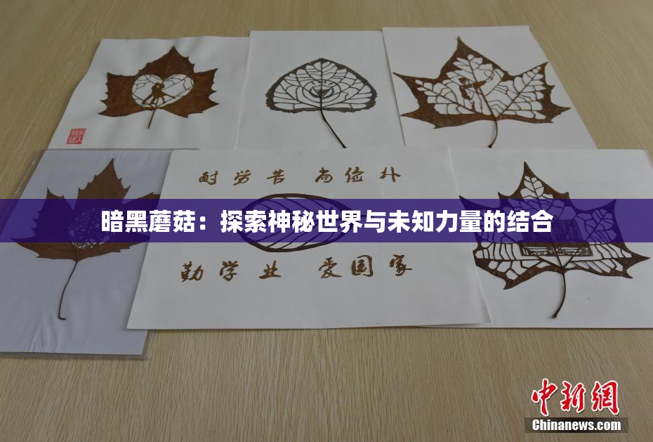 暗黑蘑菇：探索神秘世界与未知力量的结合