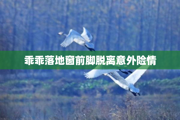乖乖落地窗前脚脱离意外险情