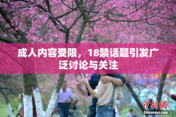 成人内容受限，18禁话题引发广泛讨论与关注