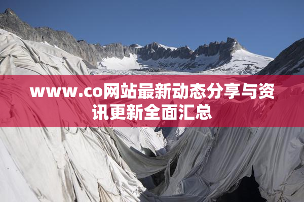 www.co网站最新动态分享与资讯更新全面汇总