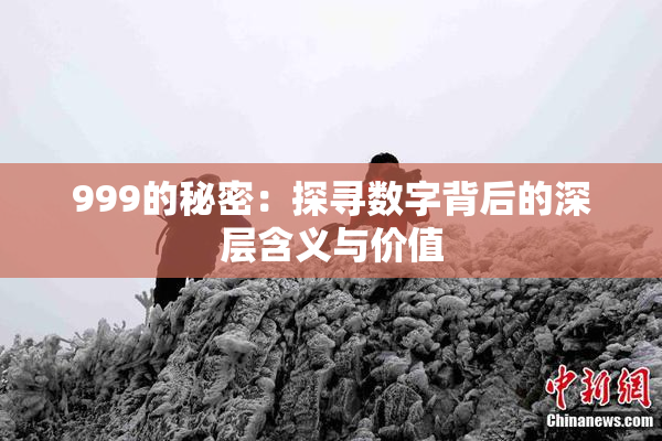 999的秘密：探寻数字背后的深层含义与价值