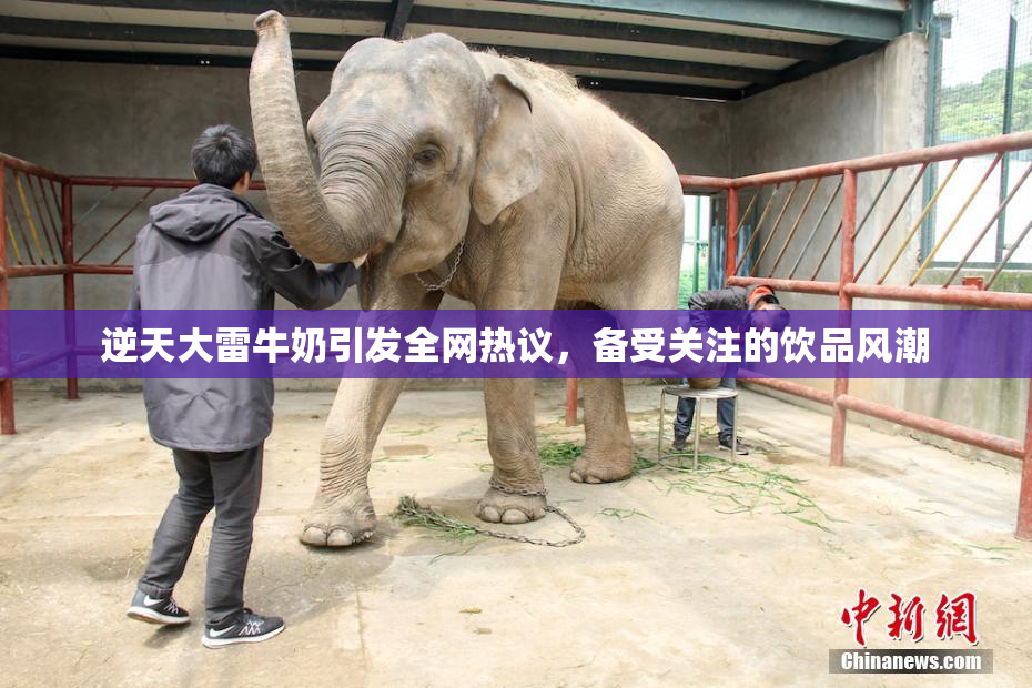 逆天大雷牛奶引发全网热议，备受关注的饮品风潮