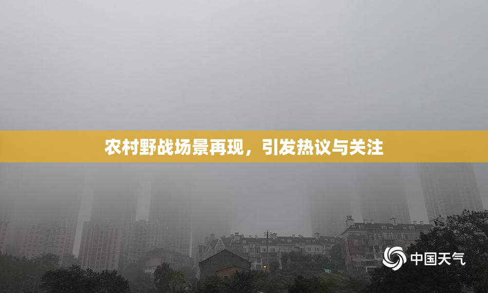 农村野战场景再现，引发热议与关注