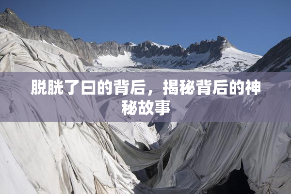 脱胱了曰的背后，揭秘背后的神秘故事