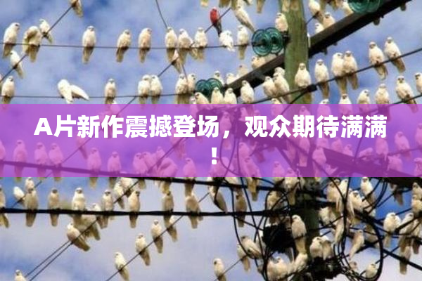 A片新作震撼登场，观众期待满满！