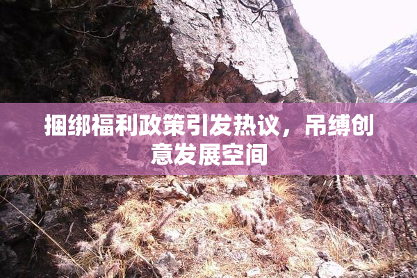 捆绑福利政策引发热议，吊缚创意发展空间