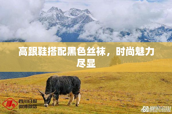 高跟鞋搭配黑色丝袜，时尚魅力尽显