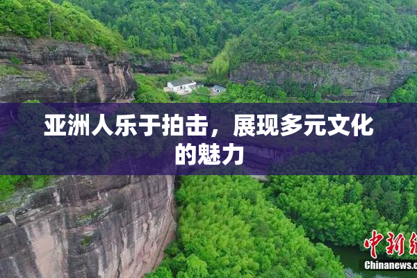 亚洲人乐于拍击，展现多元文化的魅力
