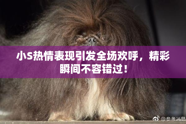 小S热情表现引发全场欢呼，精彩瞬间不容错过！