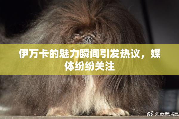 伊万卡的魅力瞬间引发热议，媒体纷纷关注