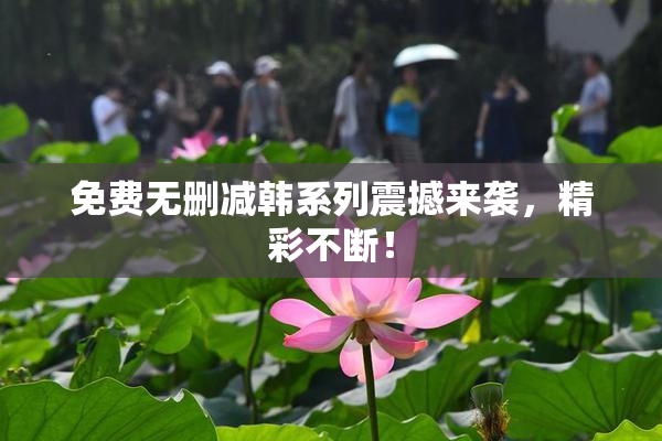 免费无删减韩系列震撼来袭，精彩不断！