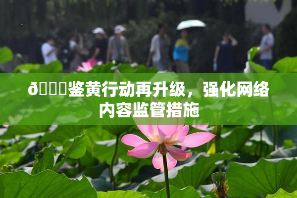 🔞鉴黄行动再升级，强化网络内容监管措施