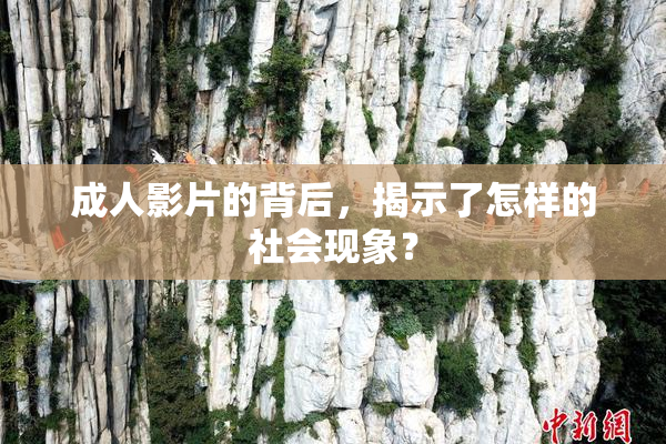 成人影片的背后，揭示了怎样的社会现象？