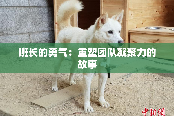 班长的勇气：重塑团队凝聚力的故事