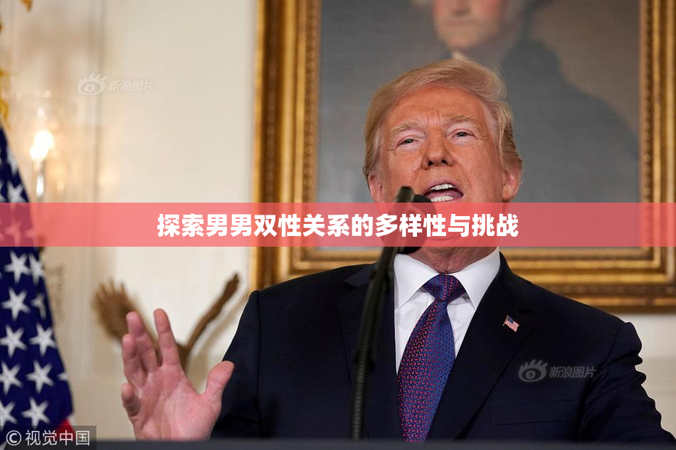 探索男男双性关系的多样性与挑战