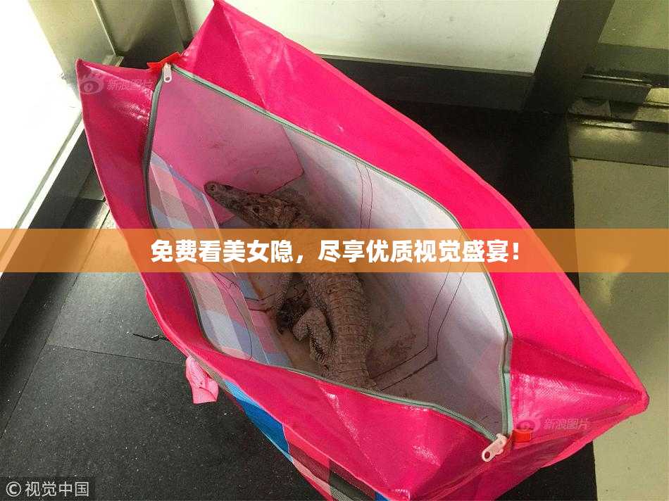免费看美女隐，尽享优质视觉盛宴！