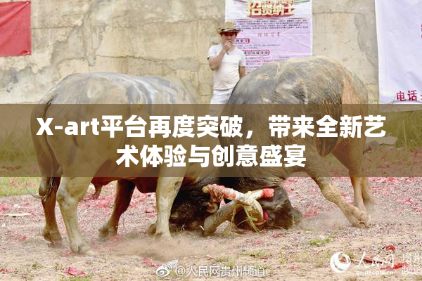 X-art平台再度突破，带来全新艺术体验与创意盛宴