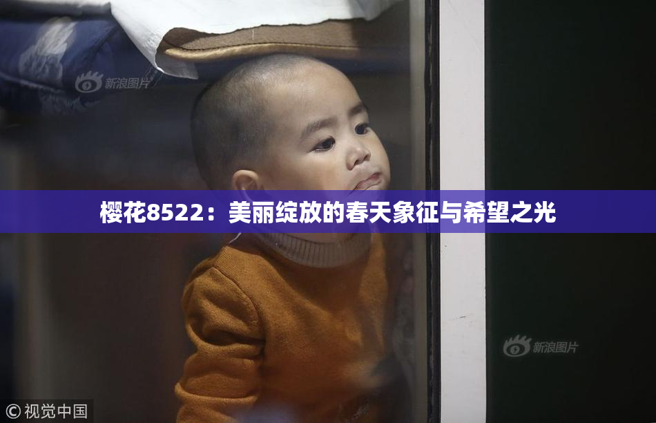 樱花8522：美丽绽放的春天象征与希望之光