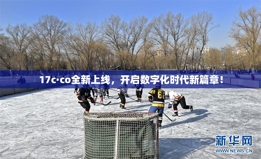 17c·co全新上线，开启数字化时代新篇章！