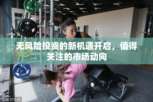 无风险投资的新机遇开启，值得关注的市场动向