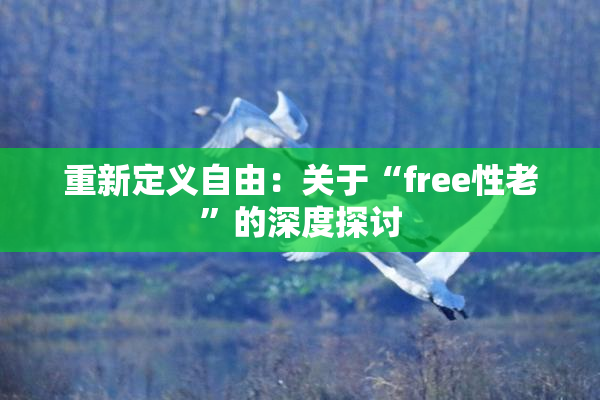 重新定义自由：关于“free性老”的深度探讨