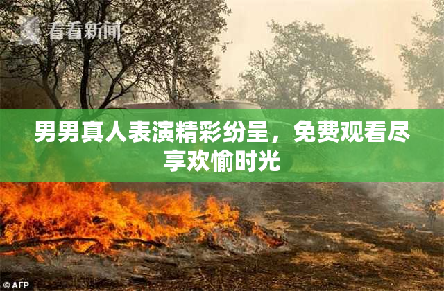 男男真人表演精彩纷呈，免费观看尽享欢愉时光