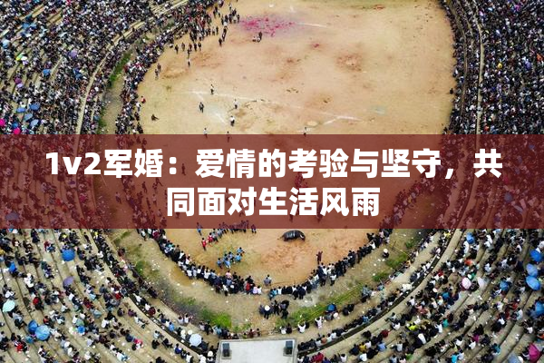 1v2军婚：爱情的考验与坚守，共同面对生活风雨