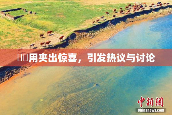 妺妺用夹出惊喜，引发热议与讨论