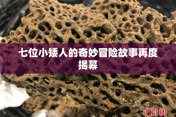 七位小矮人的奇妙冒险故事再度揭幕