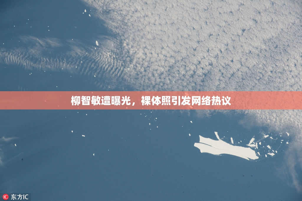 柳智敏遭曝光，裸体照引发网络热议