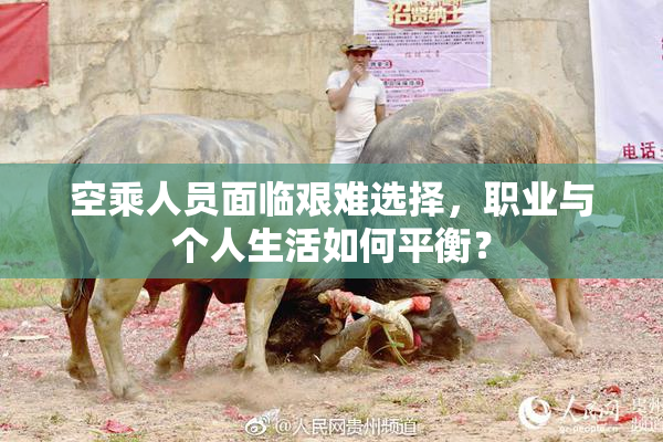 空乘人员面临艰难选择，职业与个人生活如何平衡？