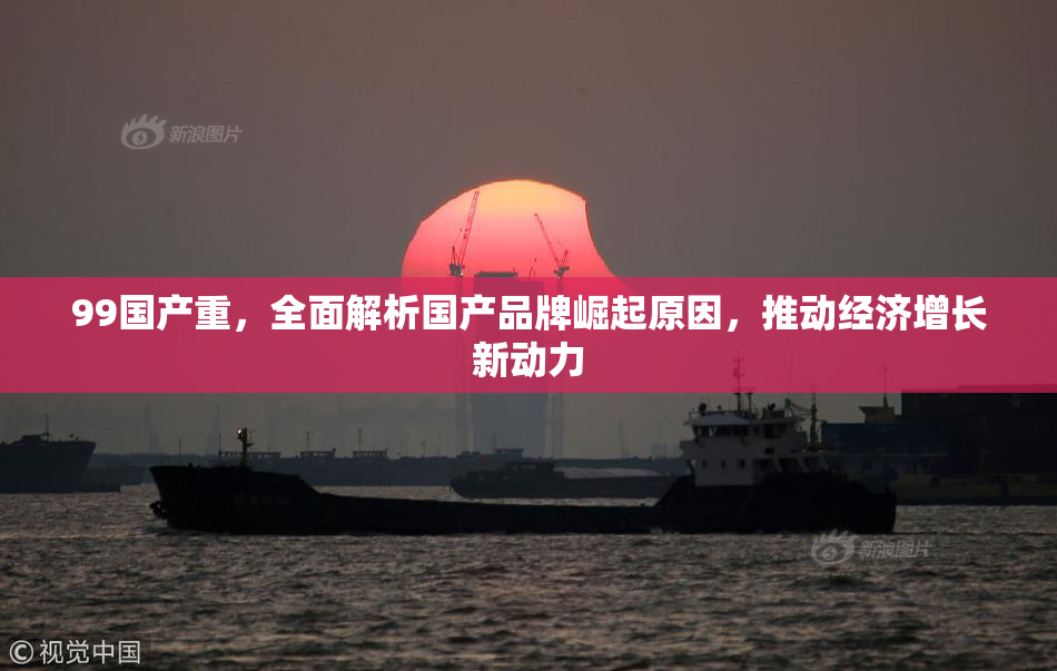 99国产重，全面解析国产品牌崛起原因，推动经济增长新动力