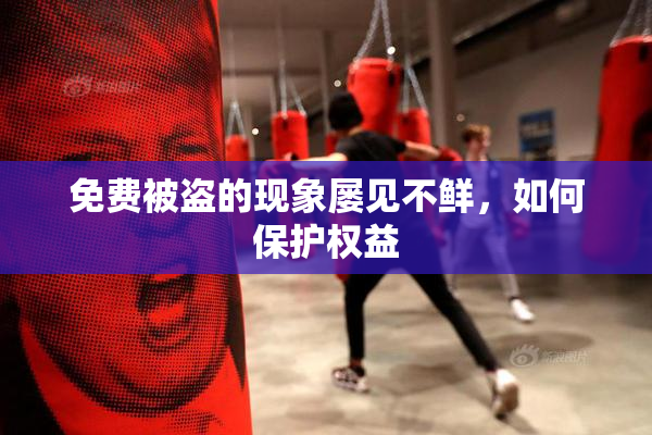 免费被盗的现象屡见不鲜，如何保护权益