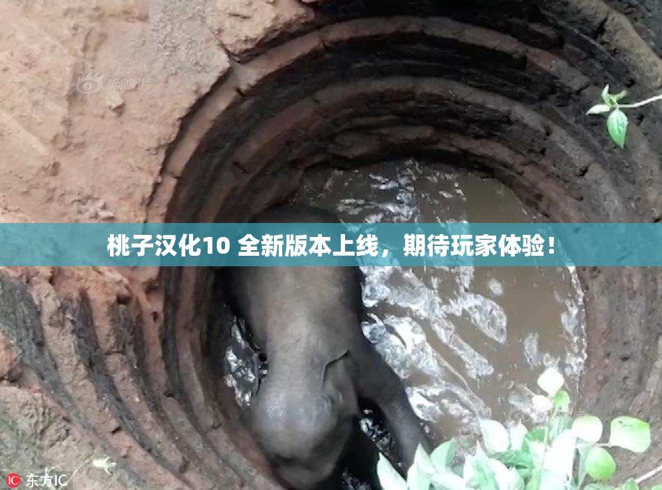 桃子汉化10 全新版本上线，期待玩家体验！