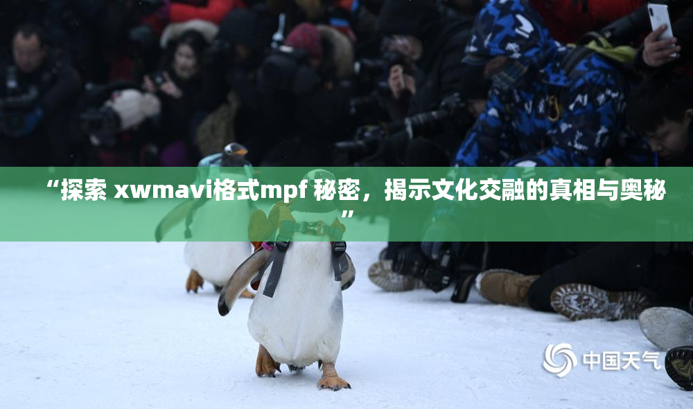 “探索 xwmavi格式mpf 秘密，揭示文化交融的真相与奥秘”
