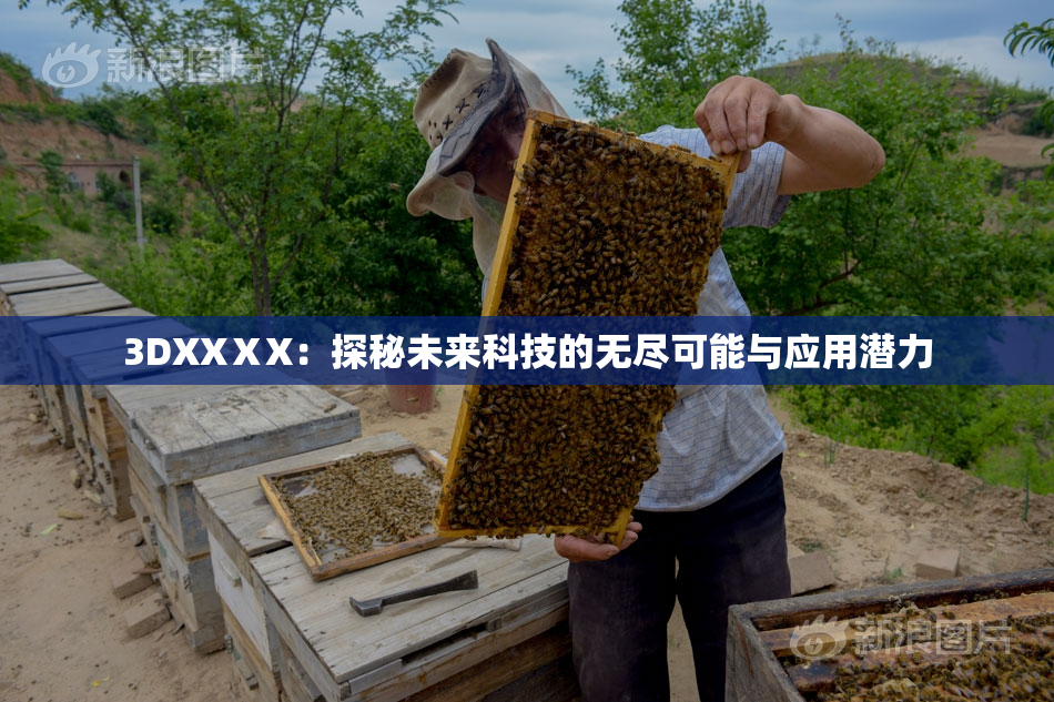 3DXXⅩX：探秘未来科技的无尽可能与应用潜力