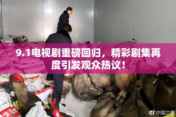9.1电视剧重磅回归，精彩剧集再度引发观众热议！
